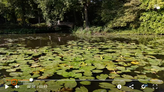 Link zum Beitrag von Buten un Binnen Link zum Beitrag von Buten un Binnen