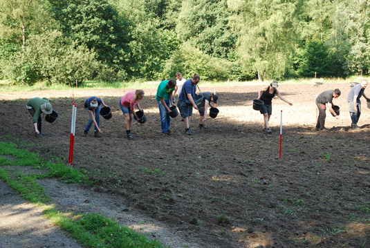 Ansaat der Kräuter und Blumen auf der vorbereiteten Wiese. Ansaat der Kräuter und Blumen auf der vorbereiteten Wiese.