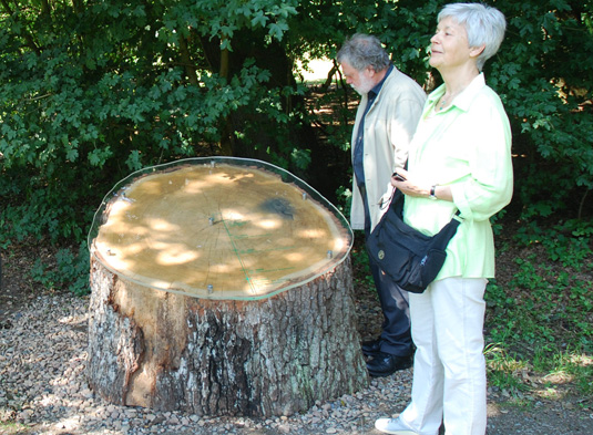 Die Plexiglasplatte auf der Baumscheibe erzählt viel über die Geschichte des Bremer Bürgerparks Die Plexiglasplatte auf der Baumscheibe erzählt viel über die Geschichte des Bremer Bürgerparks